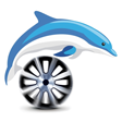 DolphinWheel